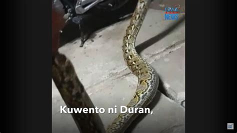 PAGKAMATAY DAHIL SA TUKLAW NG AHAS, .